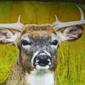 Meet your Posher, Hunter